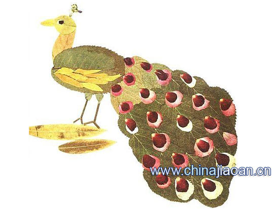 幼儿树叶贴画:孔雀1-幼儿园教案网