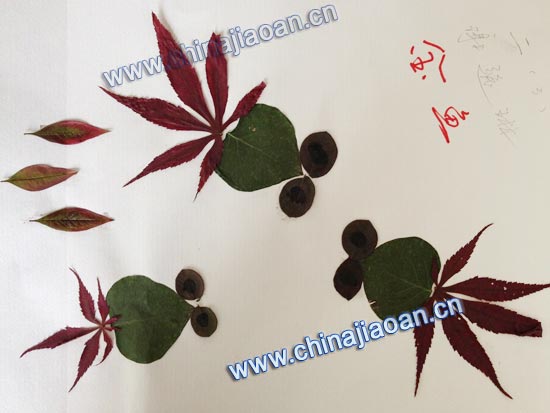 幼儿园手工撕贴画图片大全 晶彩画 晶片画diy手工制作贴画 幼儿园手工撕贴画图片大全 晶彩画 晶片画diy手工制作贴画