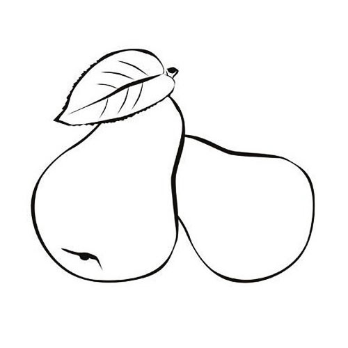 水果简笔画:梨—幼儿园简笔画