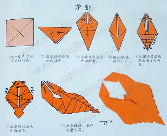 儿童折纸教程龙虾