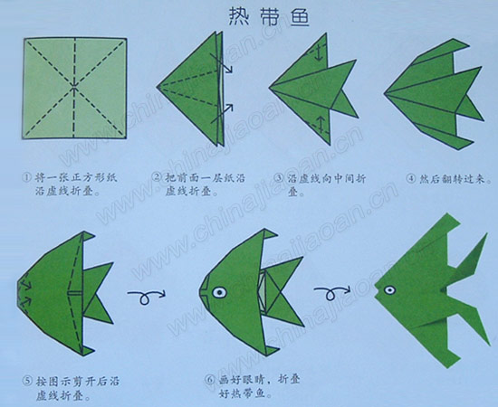 儿童折纸教程:热带鱼